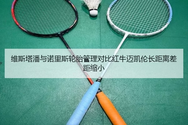 维斯塔潘与诺里斯轮胎管理对比红牛迈凯伦长距离差距缩小